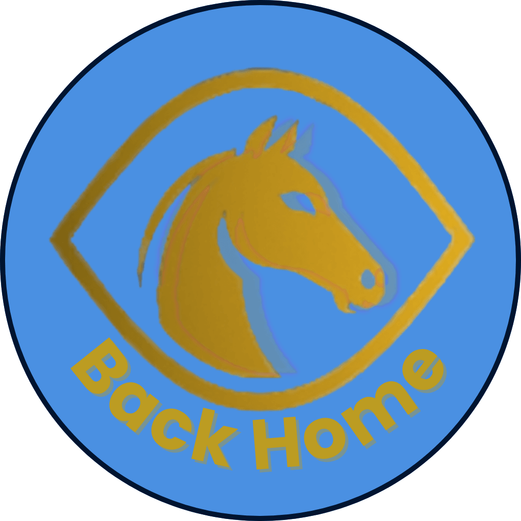 Stalytics back home icon